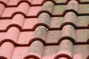 屋根塗装　塗り替えるタイミング